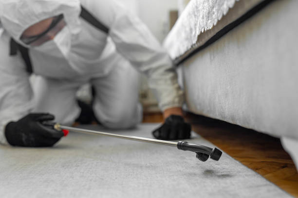 Professional Cockroach Control technician working in Woodside, CA