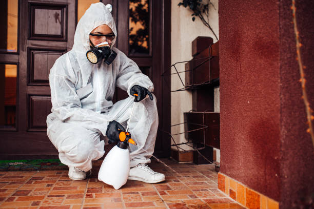 Reliable Cockroach Control contractor in Woodside, CA by Nex Pest Control